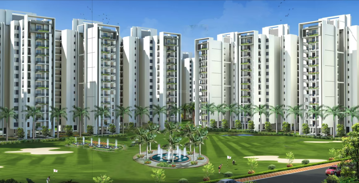 Motia Aero Greens